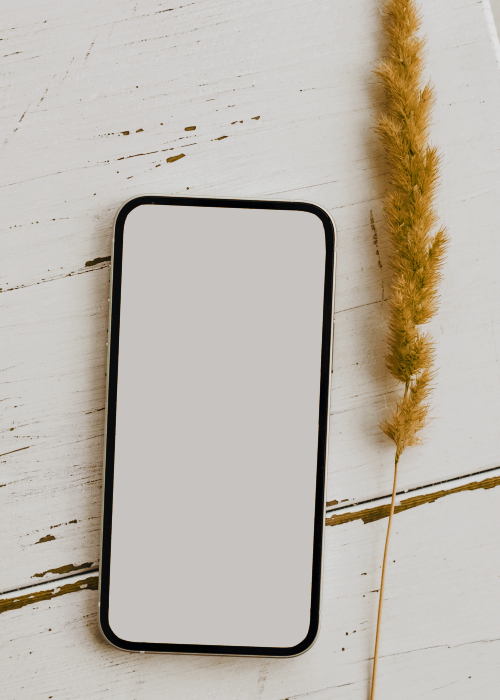 YD_social_media_assets
